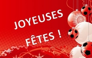 Joyeuses Fêtes de fin d'année!!