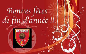 Bonnes Fêtes de fin d'année !