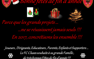 Bonnes Fêtes de fin d'année
