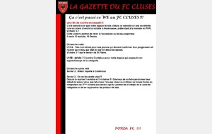 56e89b21b9f15_LAGAZETTEDUFCCLUSESCacestpassceWE2.jpg